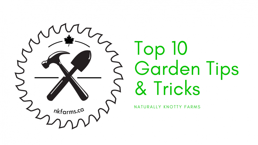 Top 10 Garden Tips & Tricks