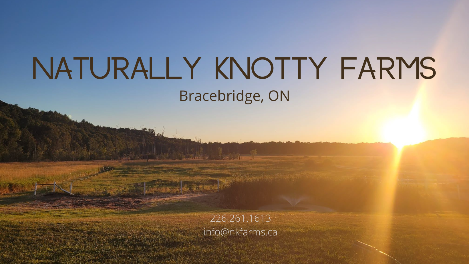 Naturally Knotty Farms
